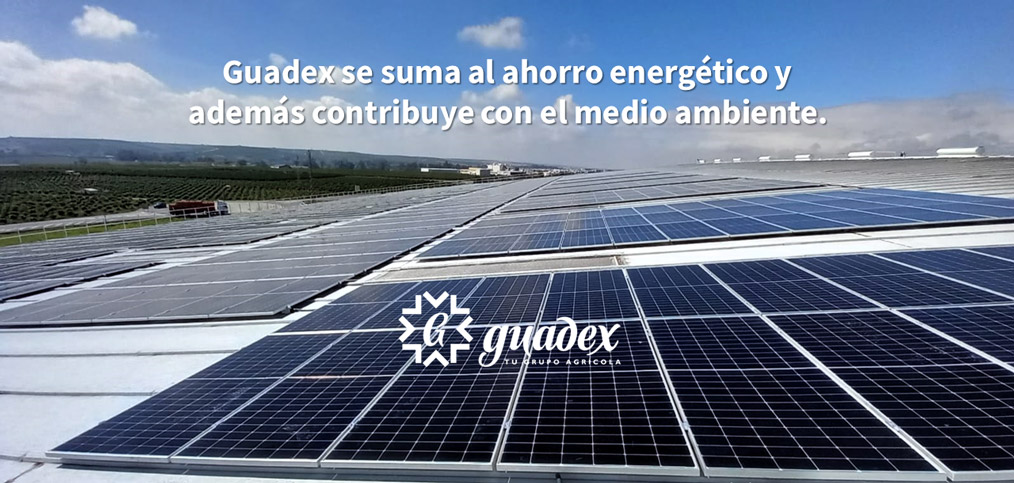 ¡Guadex conectada al sol!